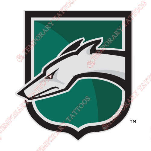 Loyola Maryland Greyhounds Customize Temporary Tattoos Stickers NO.4886